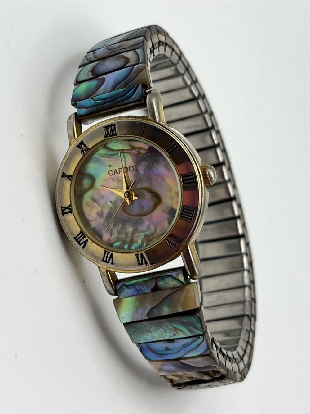 Women's Abalone Shell Dial Watch in Iridescent Multicolor